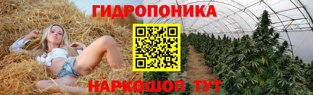 Шишки марихуана ГИДРОПОН Тамбов